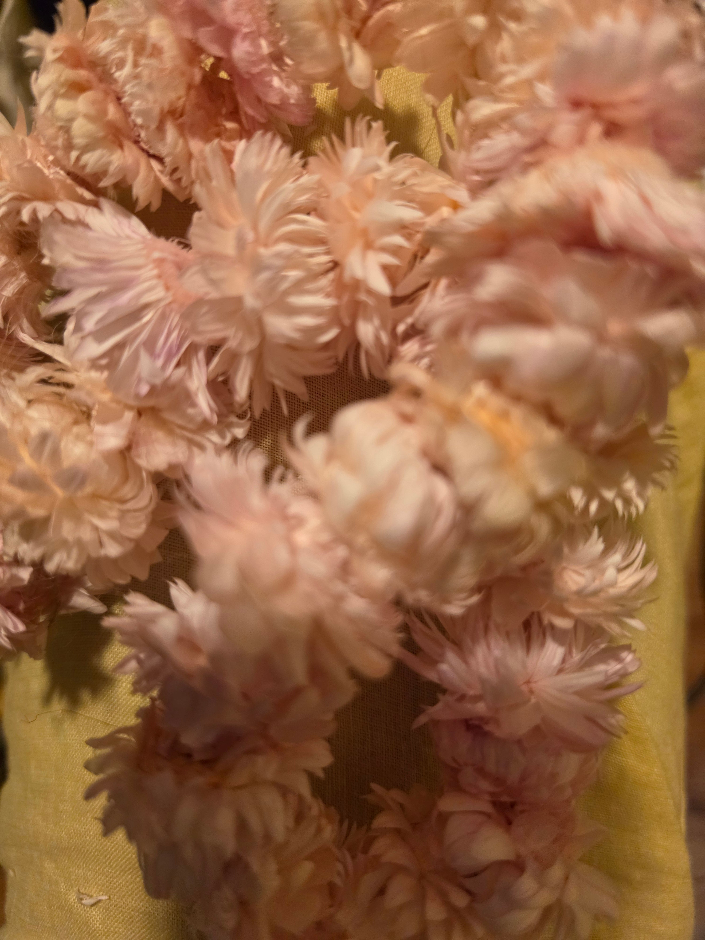 Wild Bloom Garlands