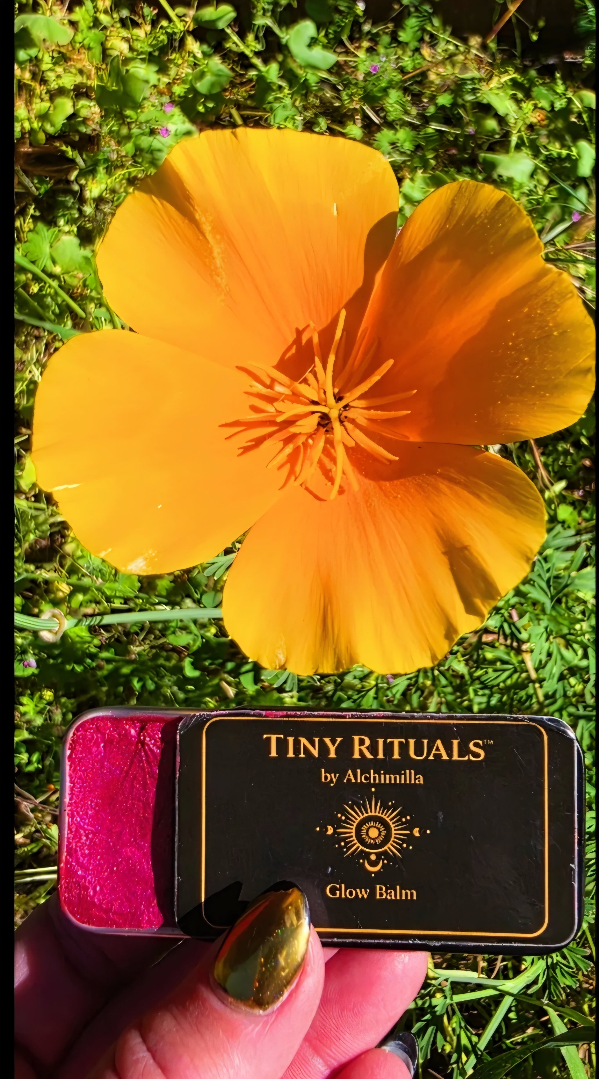 Electric Poppy Glow Balm