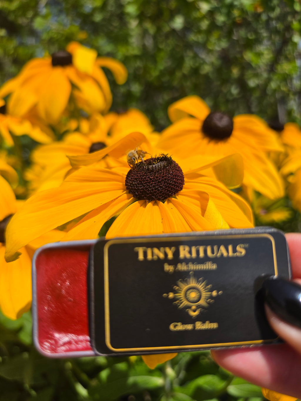 Wild Sienna Glow Balm