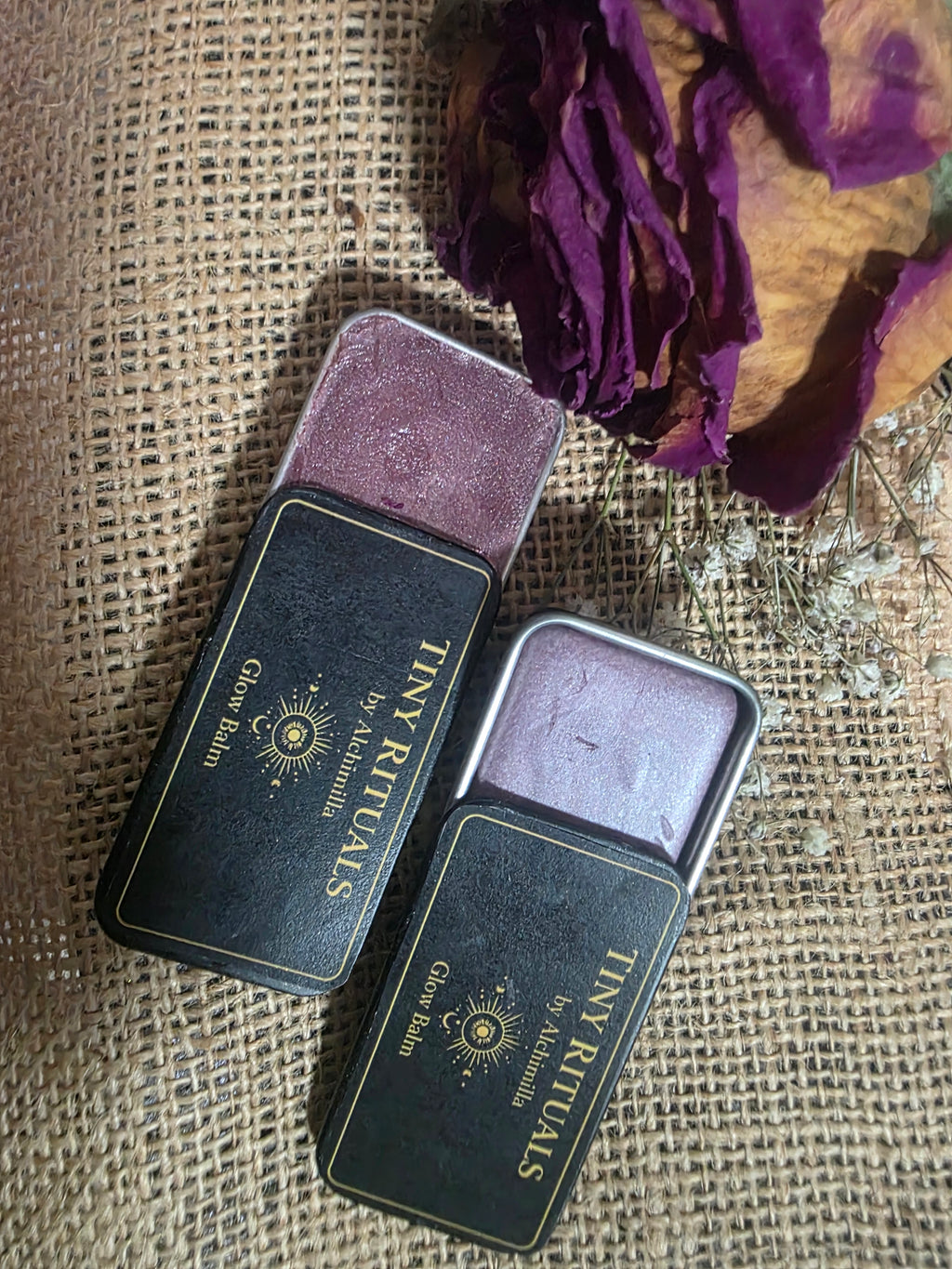 Gothic Rose & Violet Ash