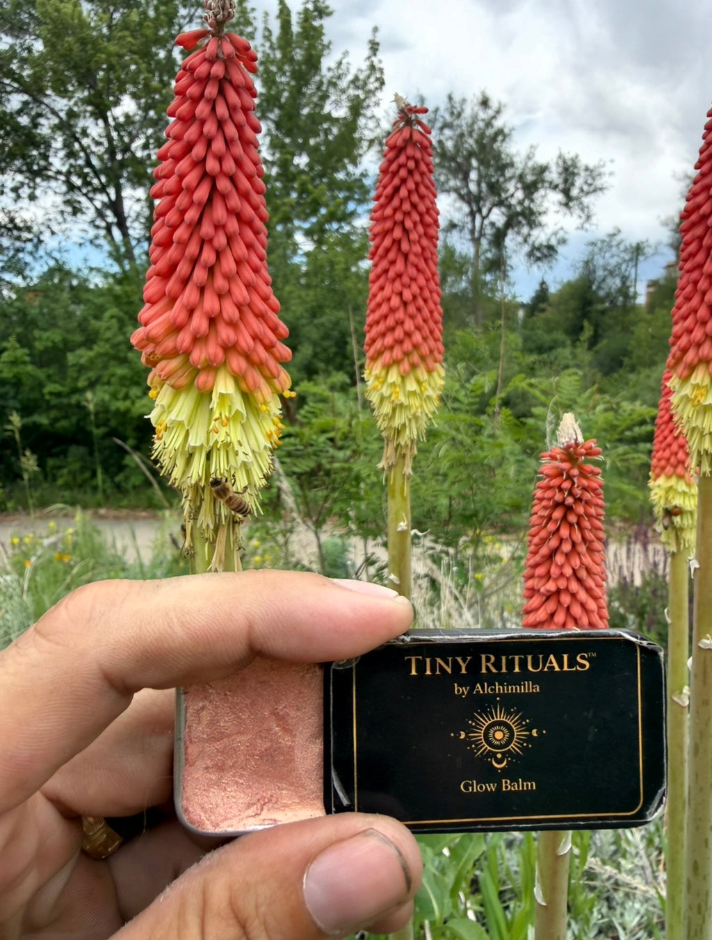 Solstice Bloom Golden  Glow Balm